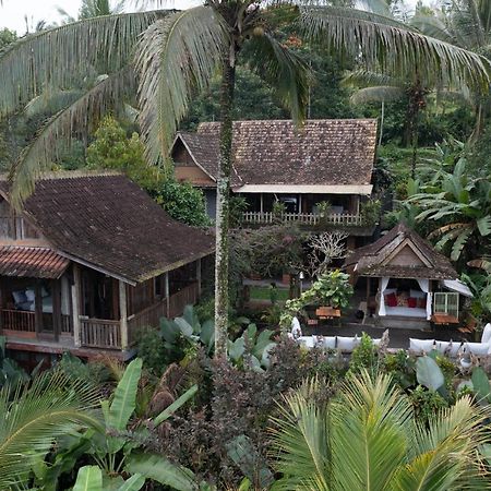 Nienté Bali Villa Penebel Bagian luar foto