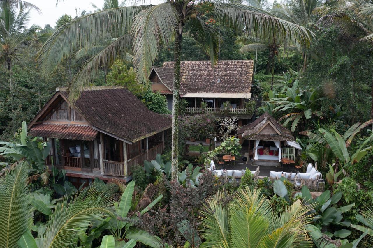 Nienté Bali Villa Penebel Bagian luar foto