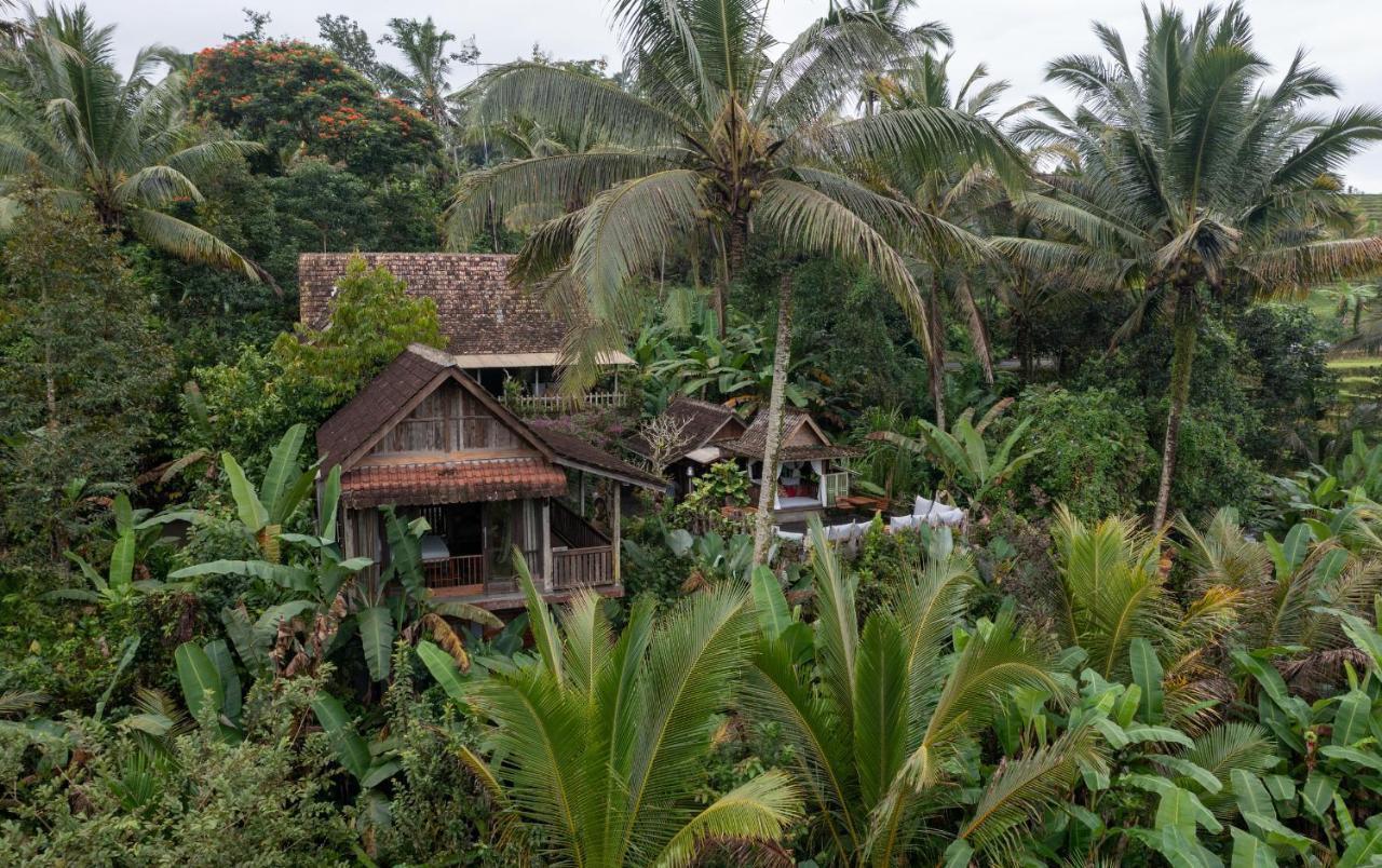 Nienté Bali Villa Penebel Bagian luar foto