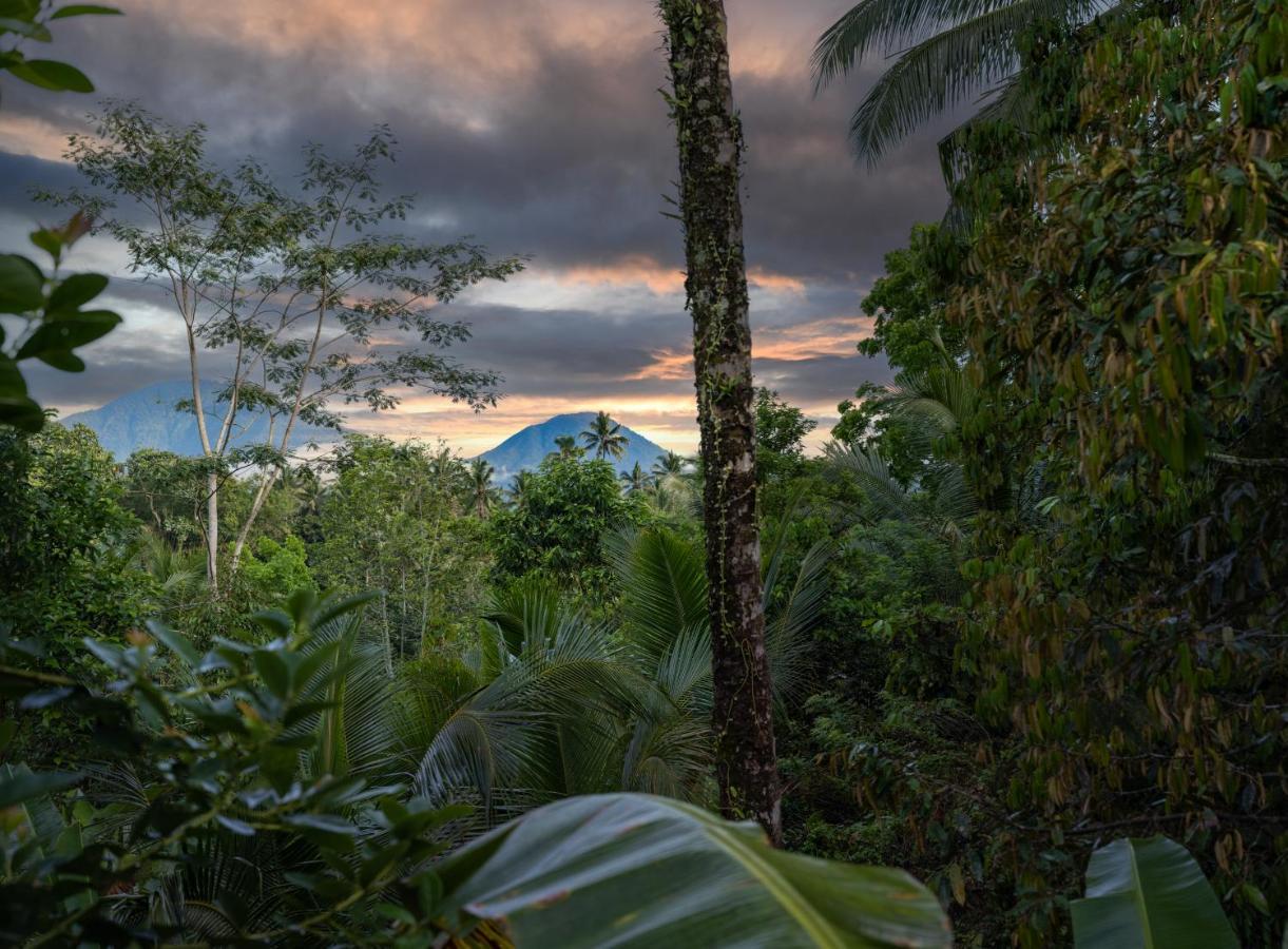 Nienté Bali Villa Penebel Bagian luar foto