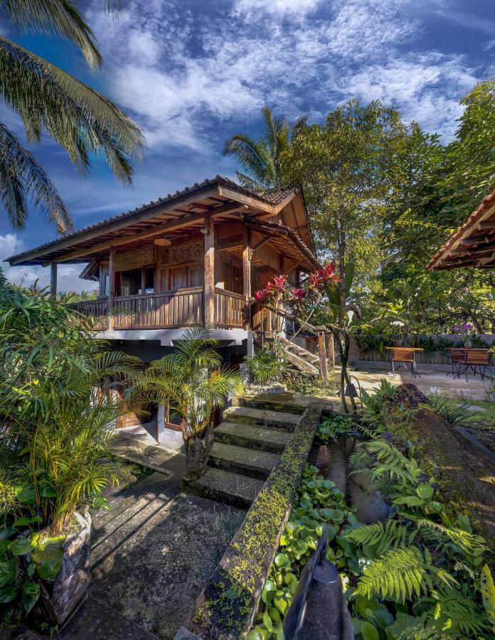Nienté Bali Villa Penebel Bagian luar foto
