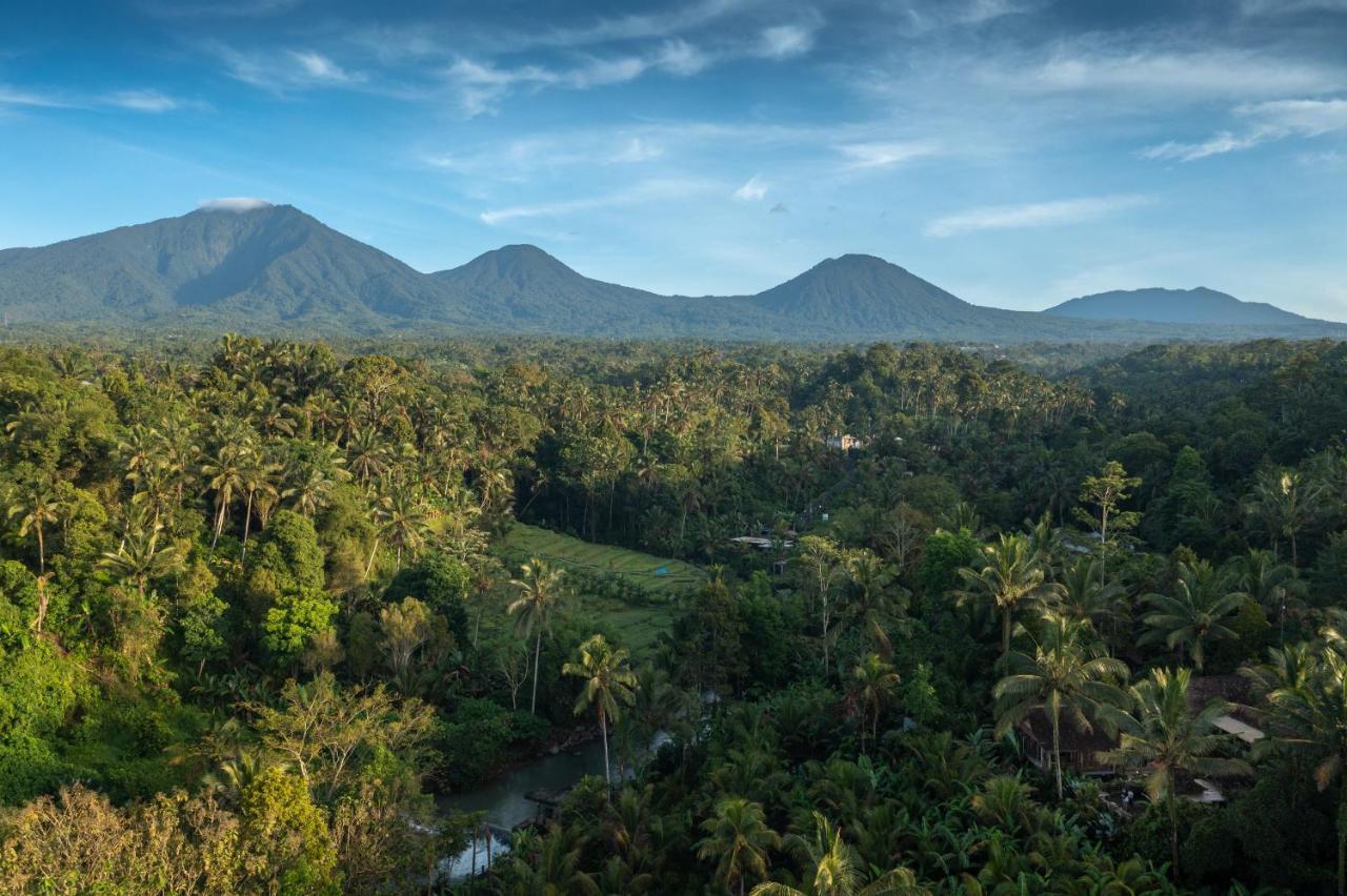 Nienté Bali Villa Penebel Bagian luar foto