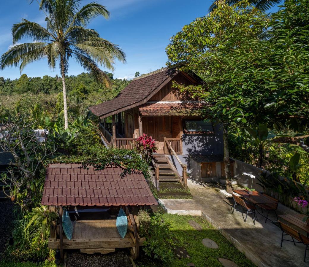 Nienté Bali Villa Penebel Bagian luar foto